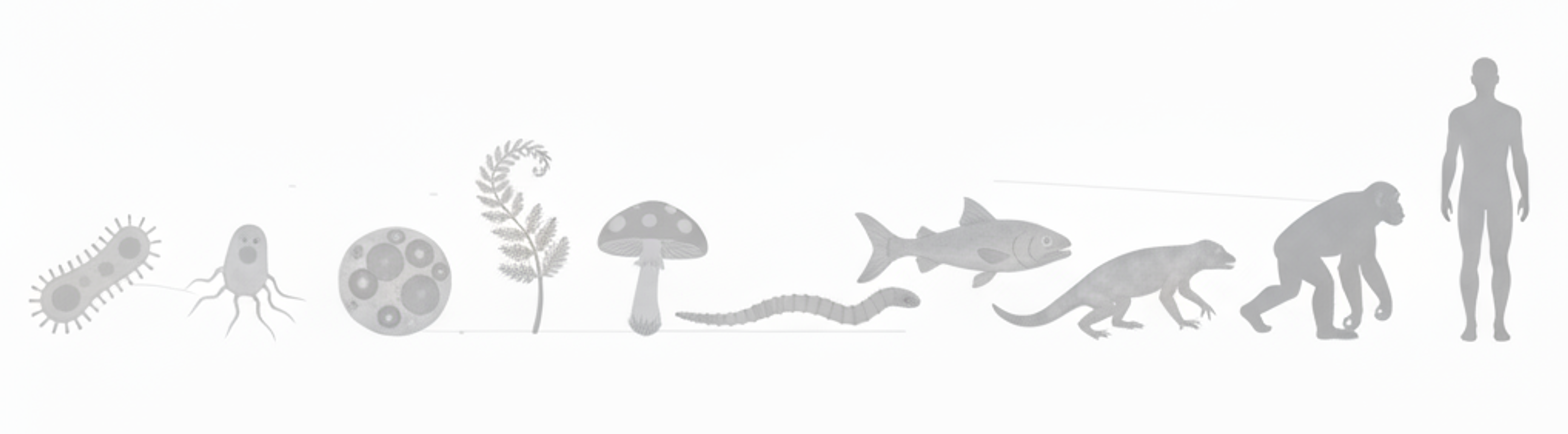 Illustration of increasing organism complexity from simple cells to humans, representing expansion of control capability